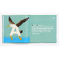 Birds Alphabet book