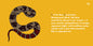 Reptile Alphabet Book