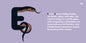 Reptile Alphabet Book